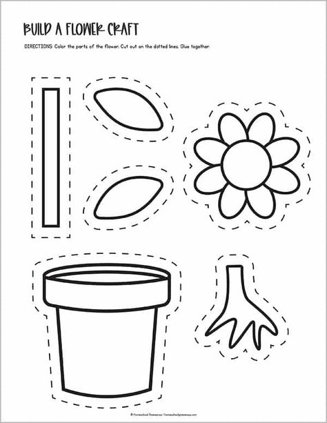 Printable Parts of a Flower Worksheets For Kids Spring Plants Crafts Preschool, Plant Cycle Worksheet, Free Printouts For Preschool, Plants 1st Grade, Preschool Activity Worksheets, Part Of A Plant Preschool, Prek Plant Activities, Parts Of A Plant Free Printable, Kindergarten Flower Activities