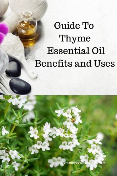 A Guide To Thyme Essential Oil and Its Benefits and Uses In Aromatherapy https://www.aromatherapyandmassage.com/thyme-essential-oil.html Thyme Essential Oil Benefits, Thyme Essential Oil Uses, Cucumber Dip Recipe, Oil For Cough, Myrtle Essential Oil, Herb Diy, Thymus Vulgaris, Growing Healthy Hair, Pine Essential Oil