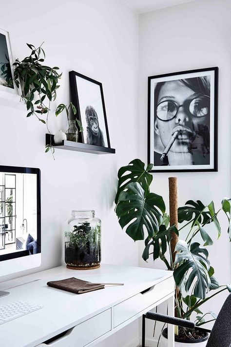 Scandi Furniture, Black And White Office, Inside Garden, Scandinavian Style Home, Interior Design Courses, White Office, Office Plants, Monstera Deliciosa, Scandinavian Home