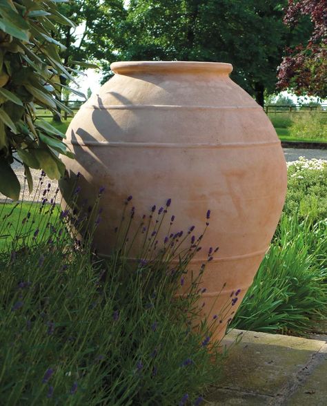 Large Terracotta Planters, Teracotta Pots, Italian Terra Cotta Pots, Garden Design Software, Terra Cotta Pots Garden, Large Garden Pots, Large Terracotta Pots, Planter Project, Garden Netting