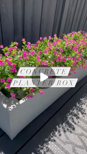 Kim Woodward | DIY & Home on Instagram: "Check out these easy to build faux cement planters 🌺. I love the look of cement planters but they are crazy expensive so I built my own. I already had the wood boxes from another project so decided to spruce them up with cement board and cement covering. After it dries I gave it a light sand. I didn’t want it too rough or too smooth just textured enough. I did also spray some waterproof cement sealer too for added protection. I have 5 more wooden boxes left and will be transforming them all with this method. ❤️Live how they turned out. 🌺🌺🌺🌺. #planter #planterbox #diyhousetohome #concreteplanter #concreteplanters #diygarden #landscapeinspiration #landscaping #flowers" Concrete Planter Ideas Outdoor, Cheap Planter Ideas Diy, Concrete Planters Front Porch, Cement Planter Boxes, Styrofoam Planter Boxes, Tiled Planter Boxes, Diy Stucco Planter, Easy Diy Planter Boxes, Diy Cinder Block Planter