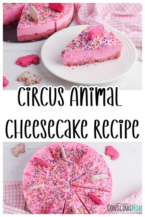 Circus Animal Cheesecake, Unique Cheesecake Recipes, Unique Cheesecake, Fun Cheesecake Recipes, Summer Cheesecake, Delicious Cheesecake Recipes, Cookie Cheesecake, Sweet Bakes, Yummy Cheesecake