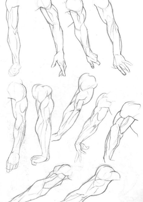 • drawing art people person arms hands draw hand human Anatomy muscles movement muscle Humans arm reference tutorial muscular anatomical references fucktonofanatomyreferences • Arm Anatomy, Arm Drawing, Drawing Hands, Anatomy Tutorial, Human Anatomy Drawing, Human Figure Drawing, Human Anatomy Art, Anatomy Sketches, Anatomy Poses