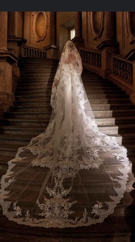 Long Wedding Dress Train, Baddie Goals, Wedding Train, Bride Era, Divine Union, Dream Marriage, 2024 Wedding Dresses, Glamour Wedding, Pronovias Wedding Dress