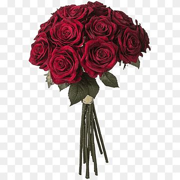 Red Flower Bouquet, Flower Bouquet Png, Bunch Of Roses, Roses Png, Roses Flower, Bouquet Flower, Rose Boutique, Flower Arranging, Garden Roses