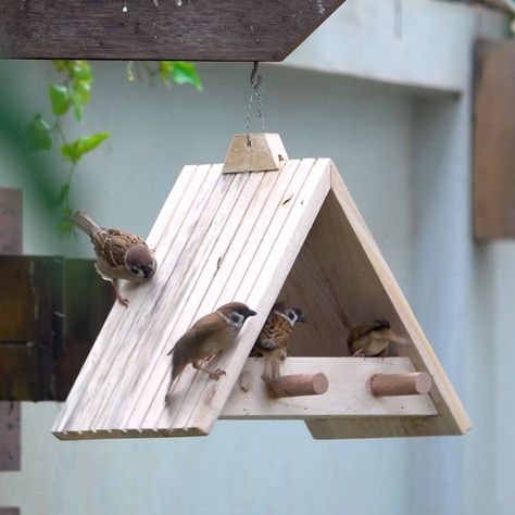 Turn old pallets into a simple wooden bird feeder for home decoration | Turn old pallets into a simple wooden bird feeder for home decoration | By Woodworking Tools TV | Facebook Bird Feeder Wood Diy, Woodwork For Beginners, Wood Pieces Crafts Diy Projects, Wooden Bird Feeders Diy, Cedar Picket Projects, Birdfeeder Plans, How To Make A Bird Feeder, Easy Bird Houses To Make, Home Made Bird Feeders