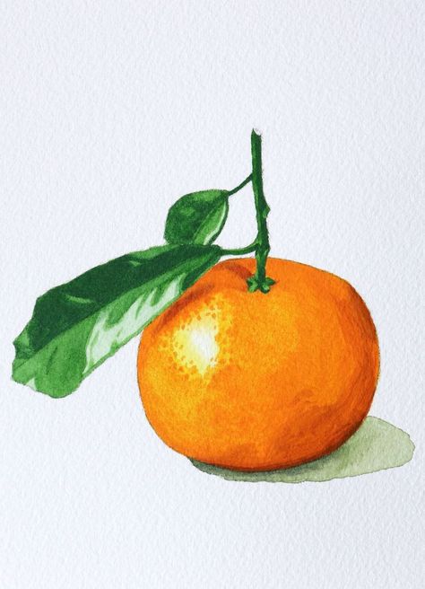 Drawing Of Orange Fruit, Watercolor Oranges Tutorial, Fruits Drawing Watercolor, Orange Fruit Watercolor, Orange Reference Photo Fruit, Oranges Watercolor Paintings, Painting Of An Orange, How To Make Orange Paint, Painting Oranges Fruit