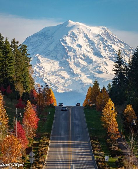 October view of Mt. Rainier in Washington State.  Photo: Aimee Lou KOMO News Pnw Aesthetic, Mount Rainier National Park, Mt Rainier, Rainier National Park, Mountain Life, Lets Go, Pretty Places, Washington State, Travel Aesthetic