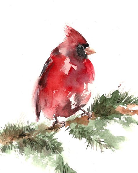 Bird Watercolor Painting Art Print  Bird by CanotStopPrints Cardinal Birds Art, Cardinal Watercolor, Bird Watercolor Art, Hummingbird Painting, Bird Watercolor Paintings, Cardinal Bird, Watercolor Red, Watercolor Projects, Red Bird