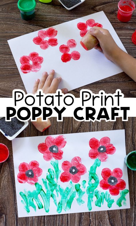 Memorial Day Poppies, Poppy Craft For Kids, Veterans Day Poppy, Remembrance Day Activities, Remembrance Day Art, Veterans Day Activities, Poppy Craft, Potato Print, Remembrance Day Poppy