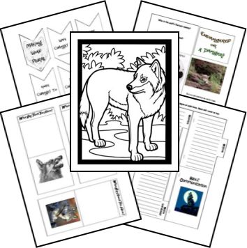 This is a FREE Wolf Lapbook. Lapbooks are a fun hands on way to learn and research themes and topics. Add in a few books and make it a unit study. Literature Unit Studies, Unit Studies Homeschool, Wolf Book, Social Studies Notebook, American History Lessons, Gray Wolf, Animal Study, Free Homeschool, Unit Study