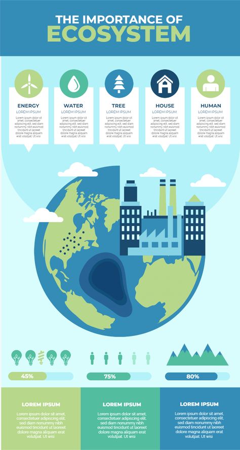 Sustainability Infographic, Info Poster, Environmental Problems, Infographic Inspiration, Environmental Engineering, Graphic Design Infographic, Environmental Problem, Infographic Poster, Infographic Design Inspiration