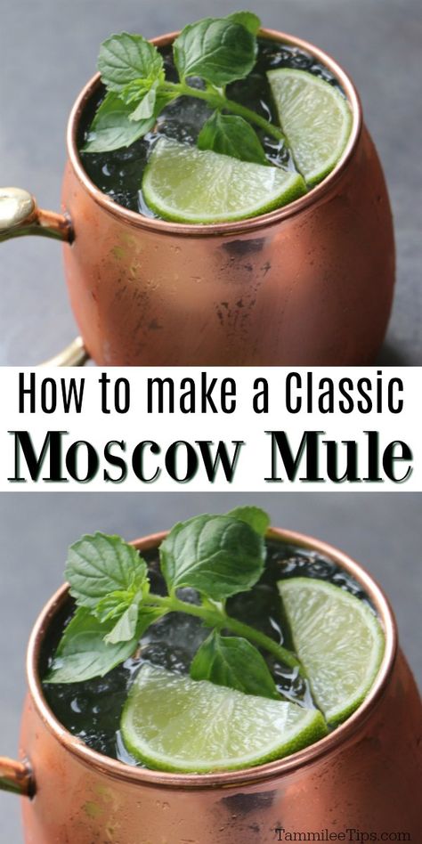 How To Make A Mule Drink, Muscle Mule Drink, How To Make A Moscow Mule, Green Moscow Mule, Mezcal Mule Recipe, Tito’s Moscow Mule, Rum Mule Drink Recipes, Russian Mule Recipe, Moscow Mule Recipe Best