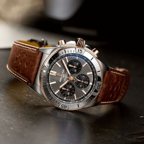 As stunning to look at as it is exhilarating to wear, introducing the Breitling Chronomat B01 42 Triumph. Now available in the highest specification ever with a titanium and 18 k red gold frame. Visit Hamra Jewelers today to see the newest piece from Breitling. #breitling #triumph #chronomat #140years #HamraJewelers Diamond Cross Earrings, Breitling Watches Mens, Mens Smart Casual Outfits, Speed Triple, Breitling Chronomat, Rolex Yacht Master, Breitling Watches, Rolex Air King, White Gold Jewelry