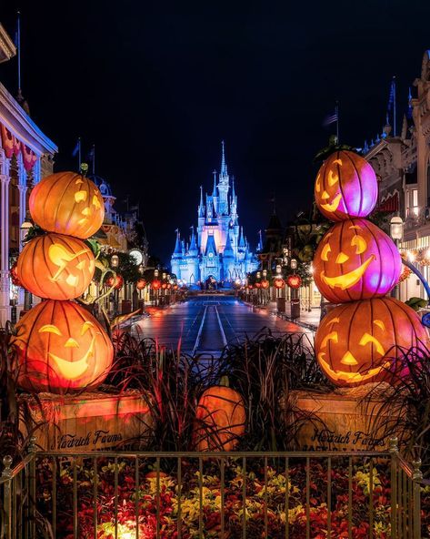 Disney Main Street Wallpaper, Disney World During Halloween, Disneyworld Halloween Aesthetic, Walt Disney World Halloween, Disney In Halloween, Disney Paris Halloween, Disney World Halloween Aesthetic, Disney World Halloween Wallpaper, Disneyland Halloween Wallpaper