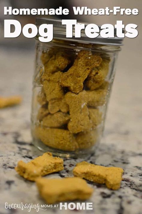 Grain Free Dog Treats Homemade, Healthy Puppy Treats, Wheat Free Dog Treats, Dog Treats Homemade Pumpkin, Pet Treats Recipes, Dog Treats Homemade Easy, Organic Dog Treats, Dog Treats Grain Free, Dog Biscuits Homemade