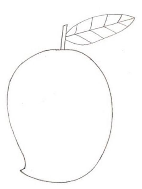 Mango Drawing & Sketches for Kids Check more at https://www.kidsartncraft.com/mango-drawing-sketches-for-kids/ Mango Sketch, Mango Drawings, Sketches For Kids, Mango Drawing, Children Sketch, Tracing Paper, Elegant Frame, Sketch Drawing, Drawing Sketch