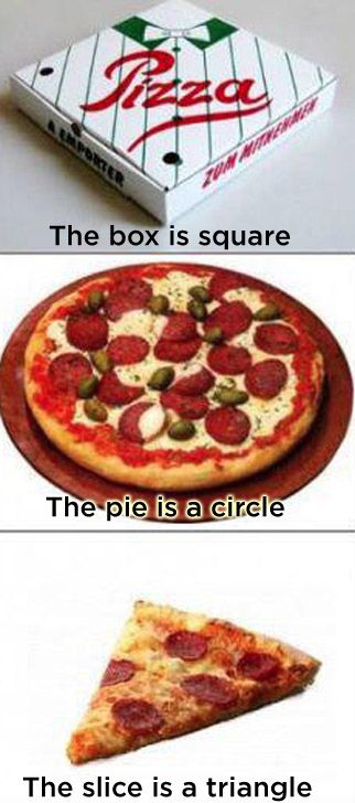 24 Things That Don't Make Any Sense Humour, Learn Shapes, You Just Realized, Pizza Funny, Learning Shapes, Greatest Mysteries, Funny Pins, Bones Funny, Make Sense