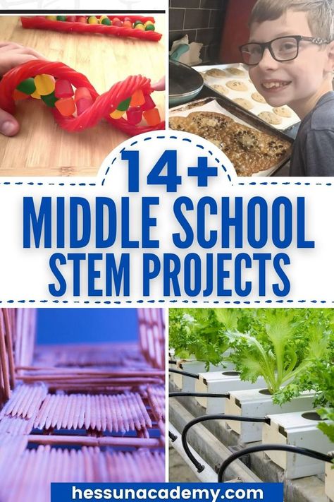 Engineering Design Challenges Middle School, Science Project Middle School, Stem Projects For Middle Schoolers, Stem Homeschool Ideas, Junior High Stem Activities, Steam For Middle School, Science Experiment For Middle School, Middle School Stem Activities Lesson Plans, Science Experiments Middle School Fun