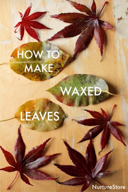 Wax Leaves Fall Crafts, Leaf Crafts For Adults, Nature Crafts For Adults Diy, Nature Crafts For Adults, Autumn Crafts For Adults, Autumn Leaf Crafts, Waxed Leaves, Preserving Leaves, How To Preserve Leaves