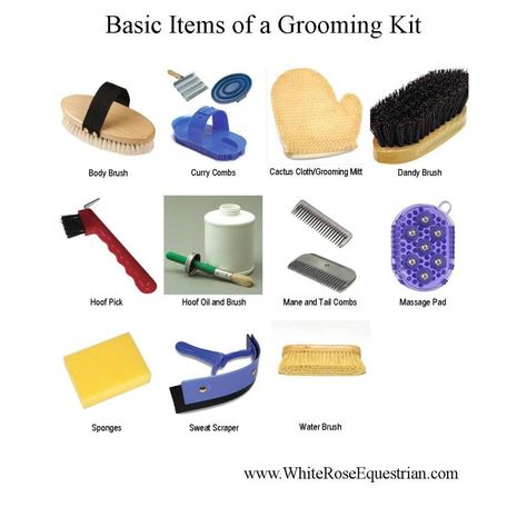 One secret to a beautifully shiny horse is the tools you use. Here's a handy list of what you need: http://whiteroseequestrian.com/grooming-a-horse/ Horse Grooming Supplies, Horse Grooming Kit, Riding Saddle, Horse's Neck, Horse Lessons, Horse Information, Horse Care Tips, Horse Riding Tips, Horse Camp