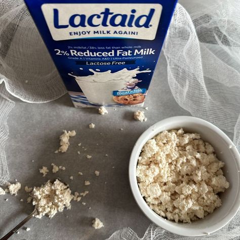 Homemade Lactose Free Cottage Cheese - Missouri Girl Home Lactose Free Cottage Cheese, Lactose Free Dairy Products, Lactose Free Cheese, Homemade Cottage Cheese, Lactose Free Milk, Cottage Cheese Recipes, Food Thermometer, Lactose Intolerant, Recipe Images