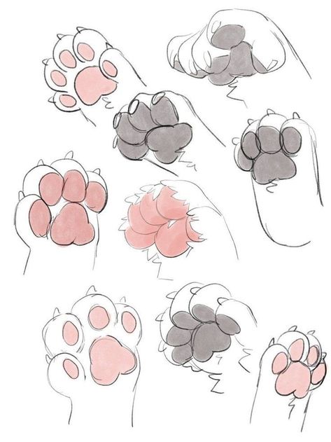 Cat Paw Drawing, Puppy Boy, Paw Drawing, Cat Drawing Tutorial, Drawing Hands, Warrior Cat Drawings, Drawings Ideas, Cat Base, Animal Study