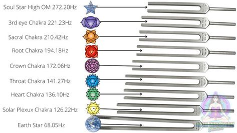 The tuning forks chakra frequencies included in the set are not based on musical scale, but instead are based on numbers associated with the movement and cycling of planets around the sun. Learn more about this and other tuning fork healing sets from my cutated list of every hesling tuning fork set available. Tuning Forks For Healing, Tunning Forks, Tuning Forks Healing, Chakra Frequencies, Raise Frequency, Business Vibes, Tuning Forks, Love Frequency, Sacred Science