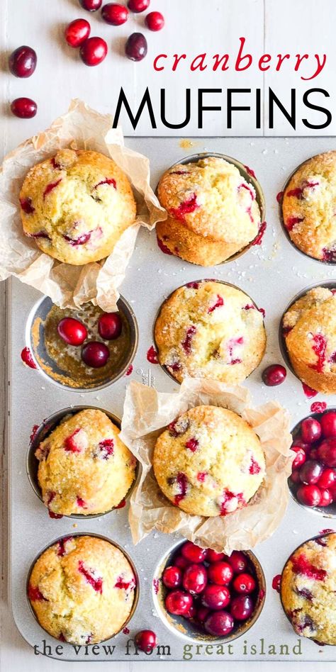 Fresh Cranberry Muffins are loaded with tangy pops of cranberry ~ the color and flavor of fresh cranberries are unrivaled in the food world, if you ask me. This easy one bowl recipe proves that comfort food can definitely be bright and fresh! #muffins #cranberries #breakfast #quickbread #Christmas Fresh Cranberry Muffins, Cranberry Recipes Muffins, Fresh Cranberry Recipes, Basic Muffin Recipe, Fresh Cranberry, Cranberry Muffins, Frozen Cranberries, Cranberry Recipes, Fresh Cranberries