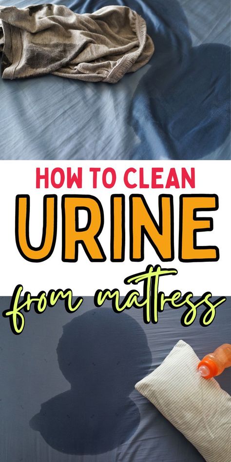 How To Clean A Pee Stained Mattress, How To Get Rid Of Pee Stains On Mattress, Best Way To Clean Pee Out Of A Mattress, Cleaning Pee Out Of Mattress, How To Clean Pee Off Mattress, Get Rid Of Pee Smell On Mattress, Pee Remover Mattress, How To Remove Pee Smell From Mattress, How To Get Pee Stains Out Of Mattress