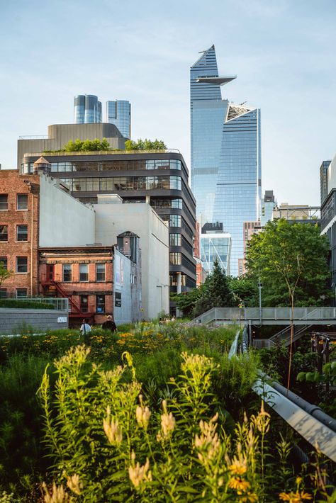 High Line Nyc, High Line New York, New York High Line, City View Apartment, Joe Thomas, Luxury Hospitality, New York Summer, Time Travelers, Nyc Aesthetic