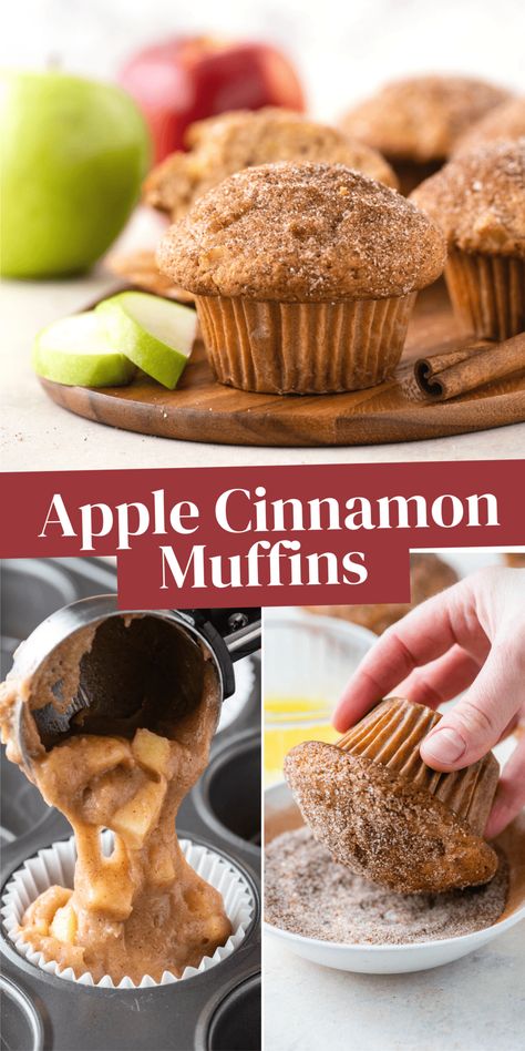 Apple Cinnamon Muffins With Apple Pie Filling, Apple Cinnamon Chip Muffins, Chocolate Apple Muffins, Recipes Using Cooking Apples, Apple Cinnamon Breakfast Muffins, Muffin Apple Cinnamon, Apple Chunk Muffins, Moist Apple Cinnamon Muffins, Gf Apple Cinnamon Muffins