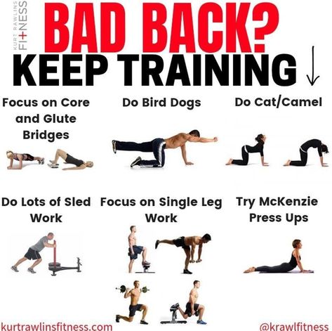 #badback #keeptraining #train #focus #work Exercise For Bad Back, Back Strengthening Exercises, Back Stretches For Pain, Lower Back Pain Exercises, Back Injury, Lower Back Exercises, Mobility Exercises, Strengthening Exercises, Back Pain Exercises