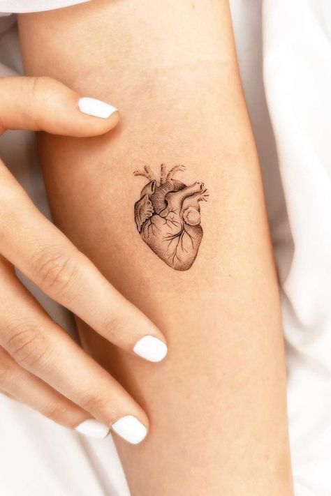 Real Heart Tattoos, Corazon Tattoo, Hart Tattoo, Heart Outline Tattoo, Anatomical Heart Tattoo, Flower Thigh Tattoos, Small Heart Tattoos, Petite Tattoos, Delicate Tattoo