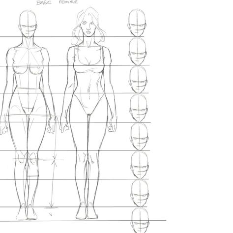 Human Figure Sketches Proportion, Female Proportions Drawing Reference, Female Proportions Drawing, How Many Heads Tall Is A Person, Body Proportions Female, Human Proportions Drawing, Hand Turnaround, Body Proportions Drawing, Female Body Proportions