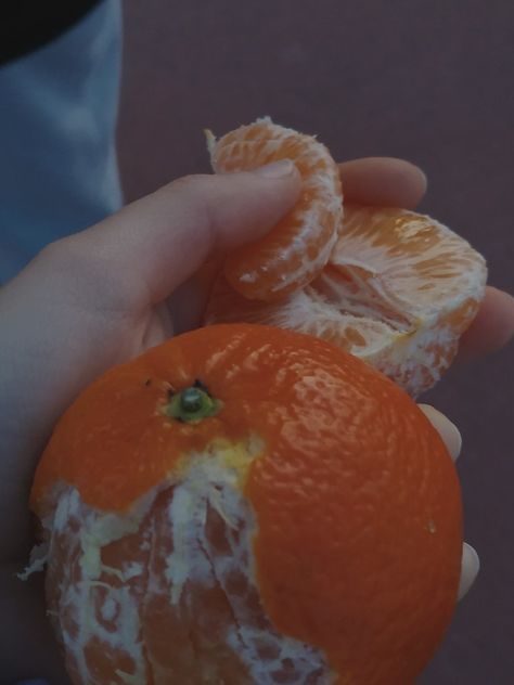 🍊 Orange Fruit Aesthetic, Fruit Snap, Oranges Fruit, Food Snap, Gym Mirrors, Best Friend Pictures Tumblr, Young Forever, Orange Fruit, Snap Food