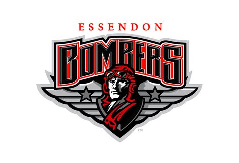 Plane Logo, Essendon Football Club, Australian Football League, Australian Football, Football Team Logos, Sports Team Logos, Logo Concept, Cleveland Cavaliers Logo, Football League