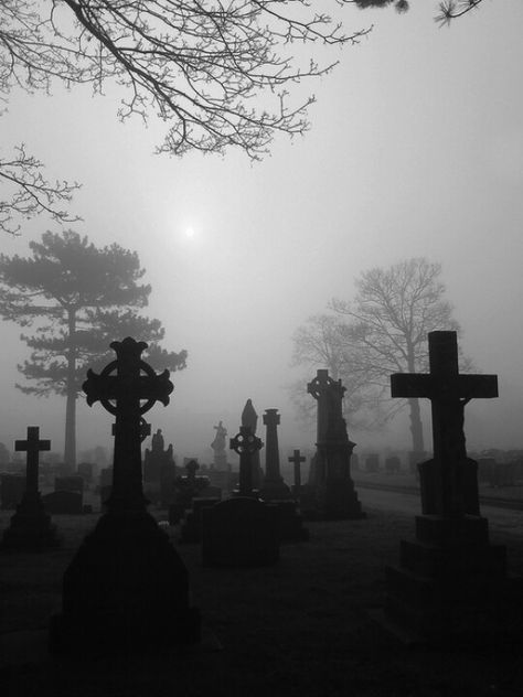 Spooky Misty Cemetery Foggy Day, Spooky Places, Old Cemeteries, Cemetery Art, Gothic Aesthetic, Airbrush Art, Arte Obscura, Fete Anime, The Fog