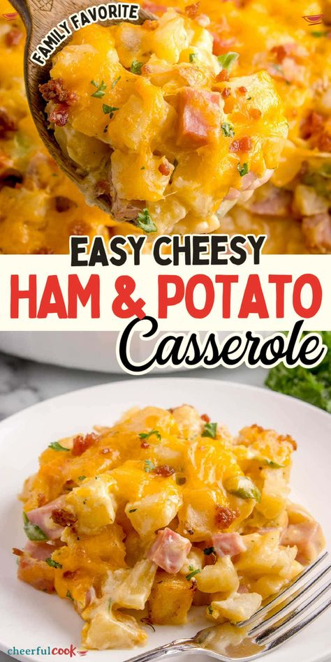 Savor the comfort of home-cooked meals with our Ham and Potato Casserole recipe, perfect for bringing warmth and satisfaction to any family dinner table. Easy to prepare and utterly delicious, it's a must-try for those who love hearty, comforting dishes. #CheerfulCook #Cheesy #easycheesy #leftoverham #baked #casserole #easydinner Ham And Hashbrown Casserole Easy, Creamy Ham Casserole Recipes, Ham Baked Potato, Ham And Potatoes Casserole Recipes, Cubed Ham And Potato Recipes, Ham And Cheesy Scalloped Potatoes, Ham And Cheese Potato Bake, Potato Ham Bake, Hashbrown Ham And Cheese Casserole