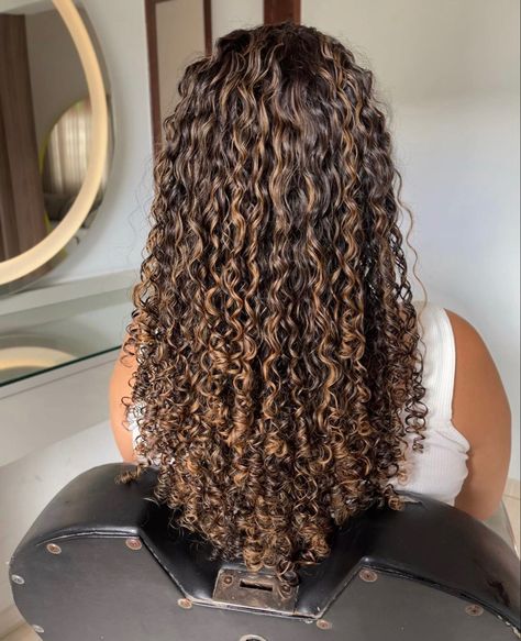 Brown Hair Colors With Highlights Curly, Hair Color For Long Curly Hair, Curly Hair And Highlights, Honey Balayage On Dark Hair Curly, Honey Brown Hair Curly Highlights, Chestnut Brown Highlights Curly Hair, Curly Hairlights, Carmel Curly Highlights, Natural Highlights Curly Hair