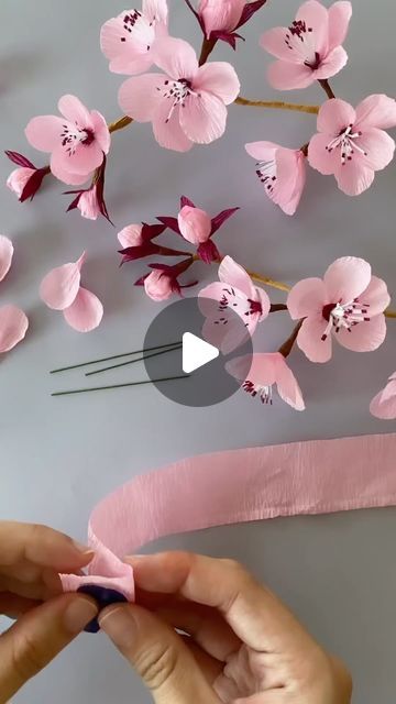 Aysel Bayrak on Instagram: "Sakura ❤️   Thanks 👉 Repost from @misspetalandbloom • Making cherry blossoms! I gotta say these little blooms look deceivingly simple but they’re a tough one to crack! Went through multiple multiple prototypes to get to this one and whoosh I’m glad to finally reach this point 😂🌸 . #papercherryblossoms #papersakuras #crepepapersakuras #cherryblossoms #sakura #diysakura #paperflowers #crepepapercherryblossoms #crepepaperflowers" Sakura Flower Paper Craft, Diy Cherry Blossom Flowers Tissue Paper, Paper Blossom Flowers, How To Make Blossom Flowers, How To Make Paper Cherry Blossom Flowers, Diy Sakura Flower, Crepe Paper Cherry Blossoms, Paper Sakura Flower, Cherry Blossom Paper Craft