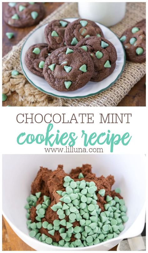 Chocolate Mint Cookies are soft, chewy, rich and chocolatey. Studded with mint chips, they are a tasty treat!! #chocolatemintcookies #chocolatecookies #mintdesserts #cookies #dessert Easy Mint Chocolate Chip Cookies, Andes Mint Cookies, Mint Desserts, Mint Chocolate Chip Cookies, Chocolate Mint Cookies, Cookie Recipes Homemade, Mint Recipes, Treats Recipes, Baking Cocoa