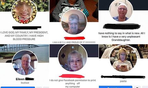 'Nice old ladies with amazing Facebook bios' stun the internet with their messages to friends  | Daily Mail Online Old People On Facebook, Messages To Friends, Facebook Bio, Old Facebook, The Social Network, Tech News, The Social, Celebrity Photos, Daily Mail