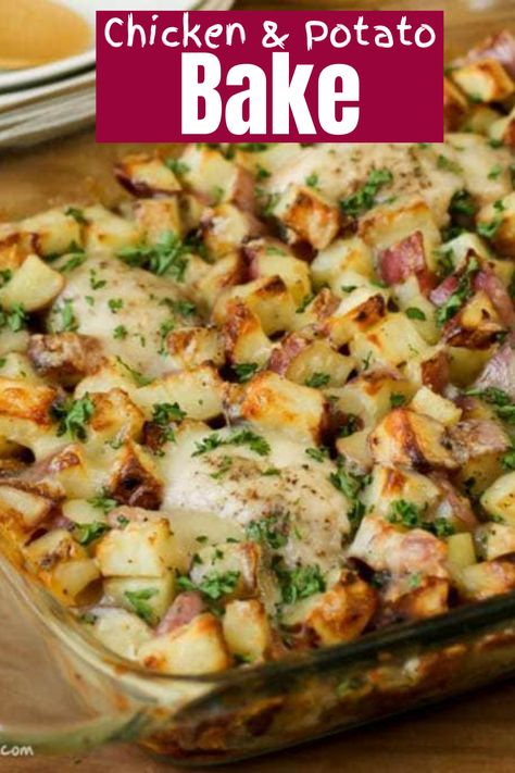 Chicken Thigh Casserole, Chicken Breast Casserole, Boneless Skinless Chicken Breast Recipes, Skinless Chicken Breast Recipes, Chicken Boneless Breast Recipes, Chicken Potato Bake, Chicken Potato, Chicken Breast Recipes Baked, Potato Dinner