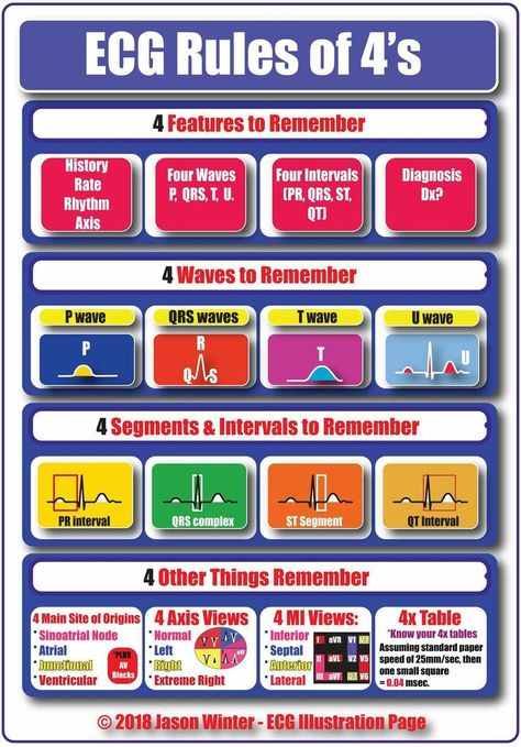 Medical Terminology Study, Cardiology Nursing, Nurse Notes, Medical Assistant Student, Paramedic School, Nurse Study, Nursing Information, Student Tips, Medical School Life