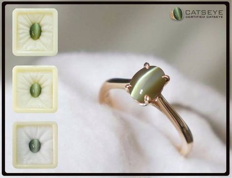 Ornamental Jewelry, Cats Eye Gem, Cat Eye Jewelry, Tiny Diamond Ring, Stone Ring Design, Gemstone Bangle Bracelets, Cats Eye Ring, Diy Room Decor Videos, Gemstone Jewellery Design