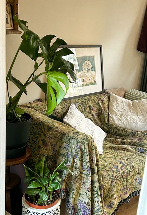 Cottagecore Couch Aesthetic, Cottagecore Couch, Cottage Couches, Tiny Sofa, 22 Birthday, Plants Aesthetic, Dorm Inspo, Aesthetic Cozy, Couch Throws