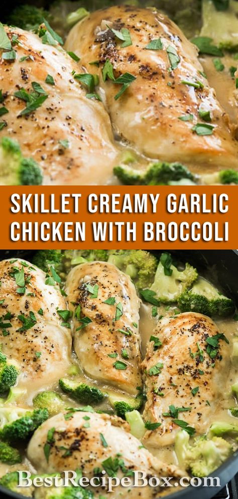 Skillet Creamy Garlic Chicken and Broccoli everyone will love! | @bestrecipebox Garlic Chicken And Broccoli, Garlic Chicken With Broccoli, Chicken With Broccoli, Garlic Chicken Pasta, Garlic Chicken Wings, Creamy Garlic Chicken, Creamy Garlic Sauce, Chicken And Broccoli, Dinner Side Dishes