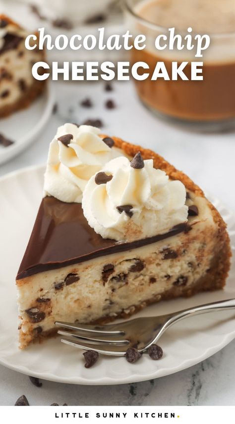 This chocolate chip cheesecake recipe is the ultimate rich and creamy dessert with a thick graham crust, topped with silky chocolate ganache and whipped cream. Chocolate Chip Cookie Cheesecake Recipes, Chocolate Chip Cheesecake Cake, Cheesecake Recipes With Chocolate, Mini Chocolate Chip Cheesecakes, Chocolate Chip Cheesecake Recipes Easy, Cheesecake With Chocolate Topping, Chocolate Chip Cheesecake Recipes, Choc Chip Cheesecake, No Bake Chocolate Chip Cheesecake