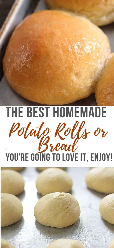 Potatoes Bread Recipe, Potato Yeast Bread Recipe, Easy Potato Bread, Homemade Potato Rolls, How To Make Potato Bread, Potatoe Bread Recipe Easy, Potato Dough Recipe, Potato Rolls Recipe Mashed, Potato Flakes Bread Recipe